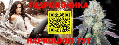 PSILOCYBIN Будённовск