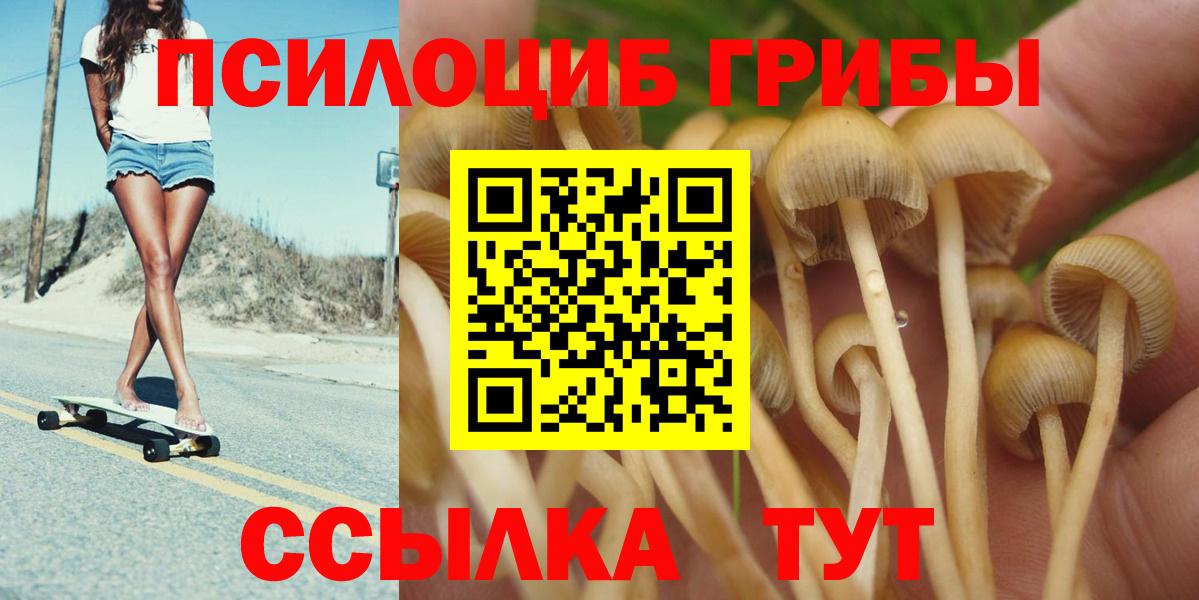 Псилоцибиновые грибы мухоморы  Псилоцибиновые грибы MAGIC MUSHROOMS  Заринск  Вход с VPN 